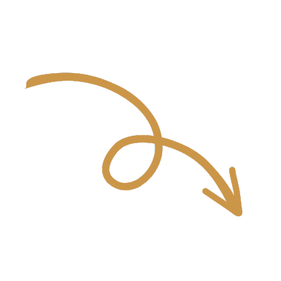 die Lösung für dein Coaching Business